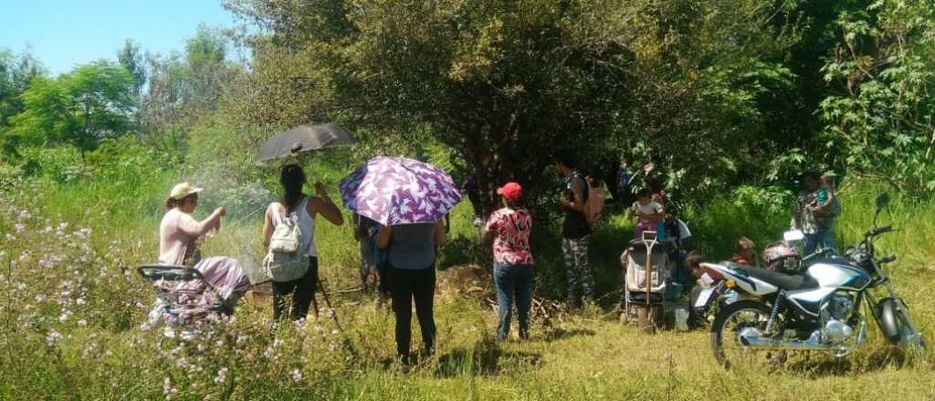 Un juez no desalojó un terreno usurpado porque tiene el "pasto crecido" 