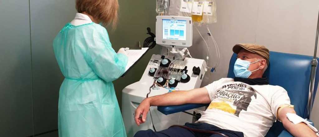 Covid-19: quiénes podrán recibir suero equino y plasma convaleciente