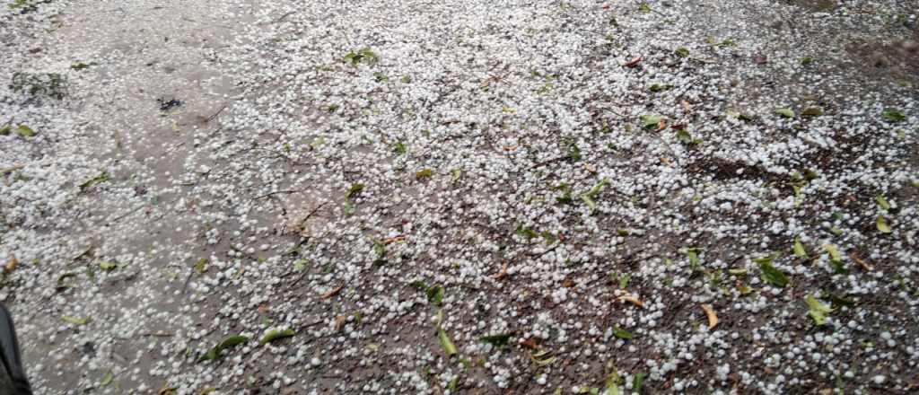 Sin tregua: granizó en Luján y Maipú