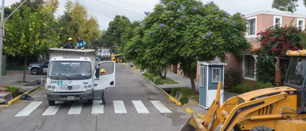 Así serán los trabajos durante esta semana en el arbolado de la Ciudad