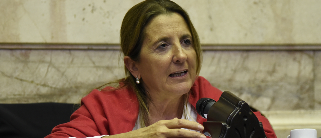 La diputada Claudia Najul tiene coronavirus