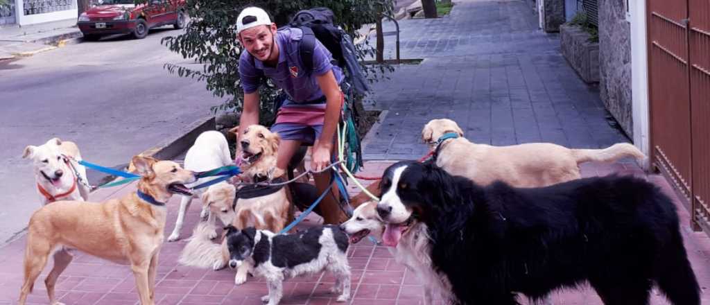 El amor entre un perro mendocino y su paseador se hizo viral