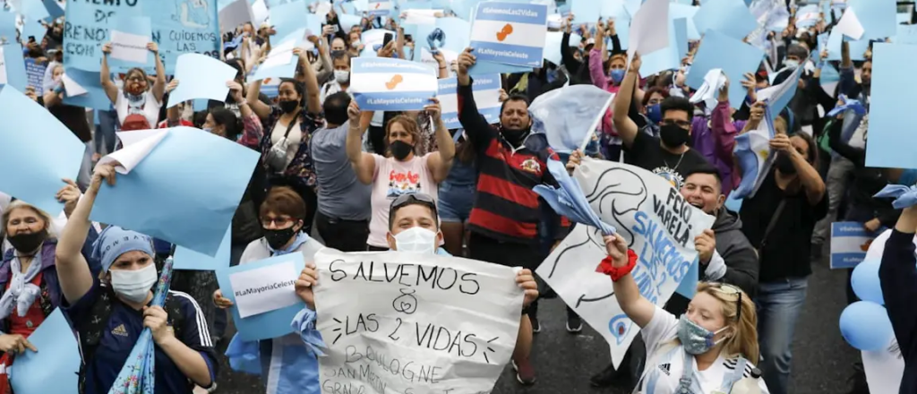 Un senador provida se reunió con Alberto y cambiaría su voto