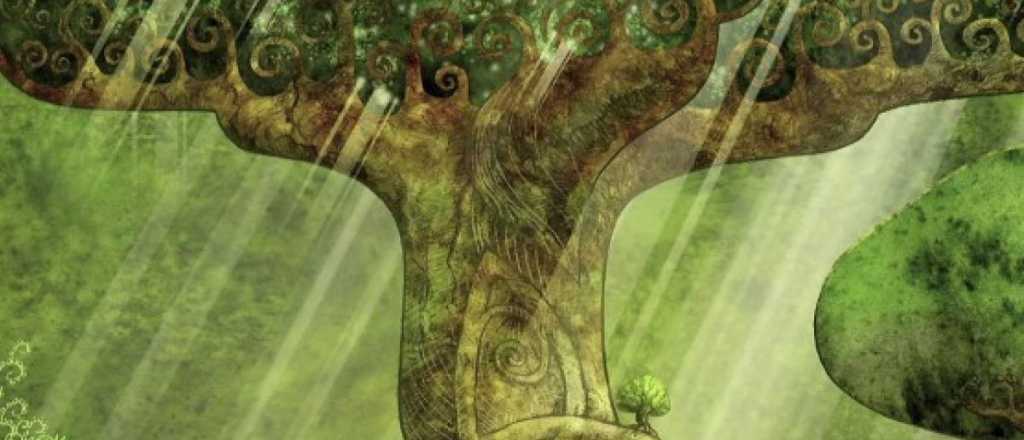 ¿Sabes qué signo animal celta sos?