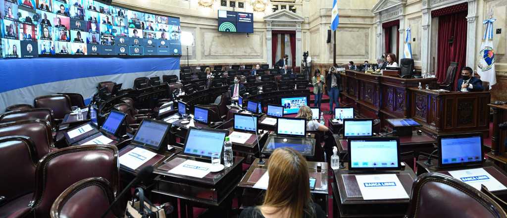 El Senado convirtió en ley el "impuesto a la riqueza"