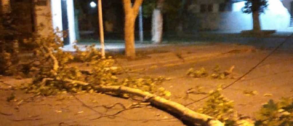 Los daños que causó el Zonda en San Rafael