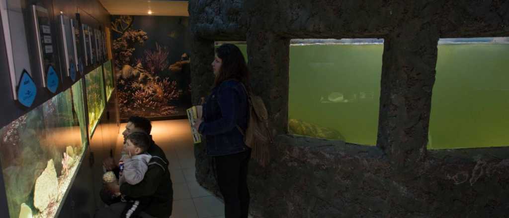 Reabrieron el Acuario de la Ciudad de Mendoza