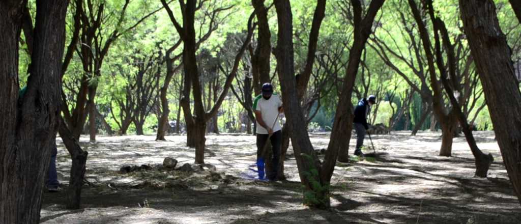 San Rafael reabre el camping Municipal de Valle Grande