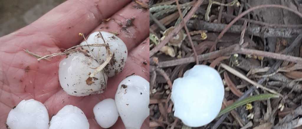 Los daños que dejó la tormenta en el Sur y Este de Mendoza