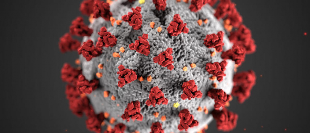 ¿Qué tan peligrosa es la mutación detectada del Covid-19?