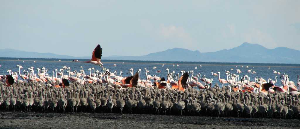 Mendoza habilitó Llancanello y otras áreas naturales para visitar