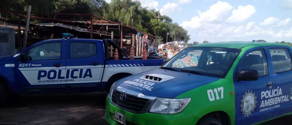 Fue atacada por sus propios perros y murió