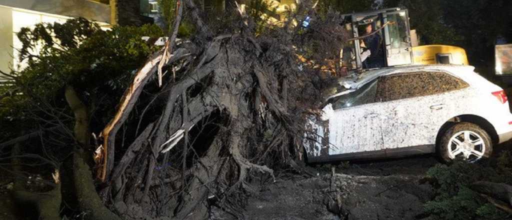 Un tornado destrozó Pinamar y hay media ciudad sin luz