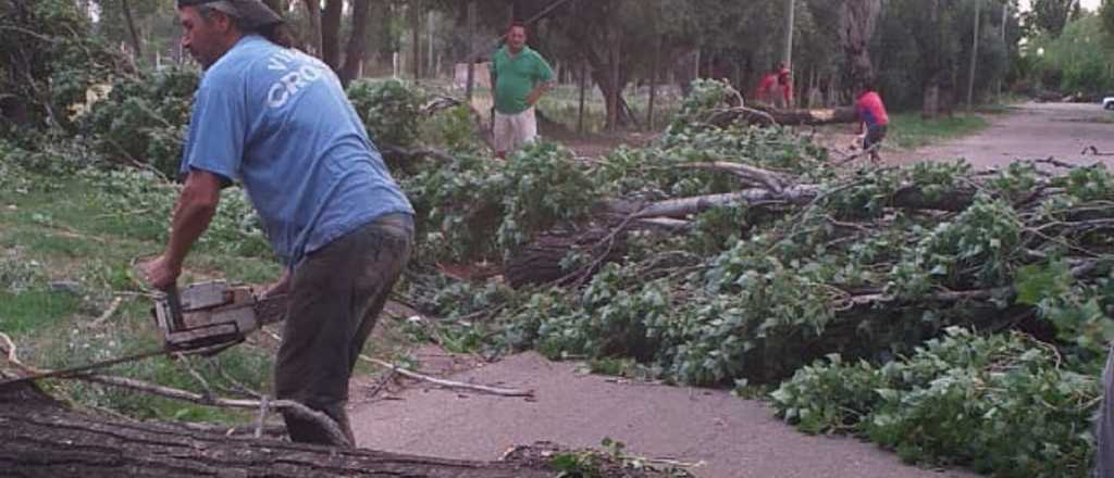 Videos: así registraron los vecinos la fuerte caída de granizo en San Rafael