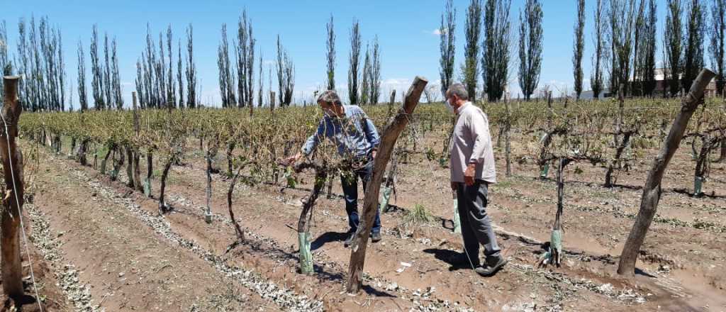 Emir Félix recorrió las zonas afectadas por la tormenta