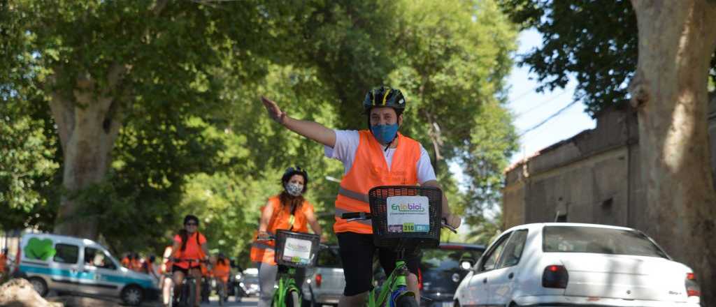 Una buena oportunidad para conocer la Ciudad con el "Bicitour Bodegas"