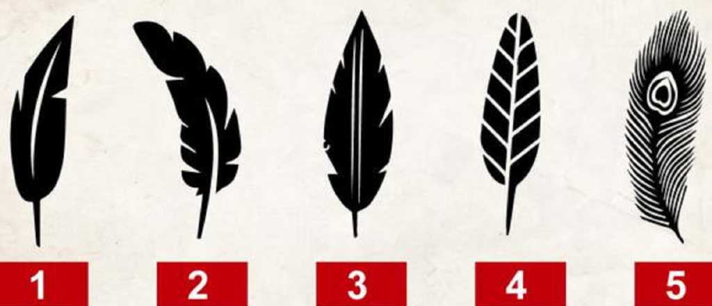 Elegí una pluma y descubrí cómo sos en tus relaciones sociales