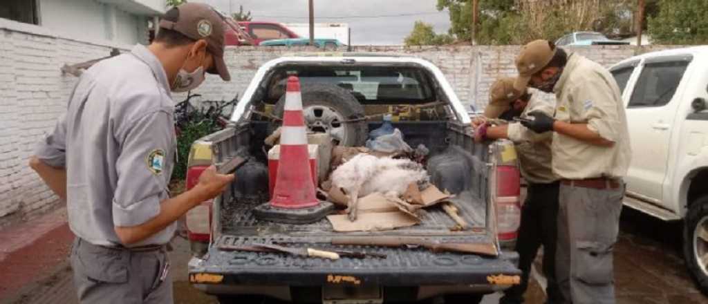 Cazadores detenidos en la Reserva Natural La Payunia