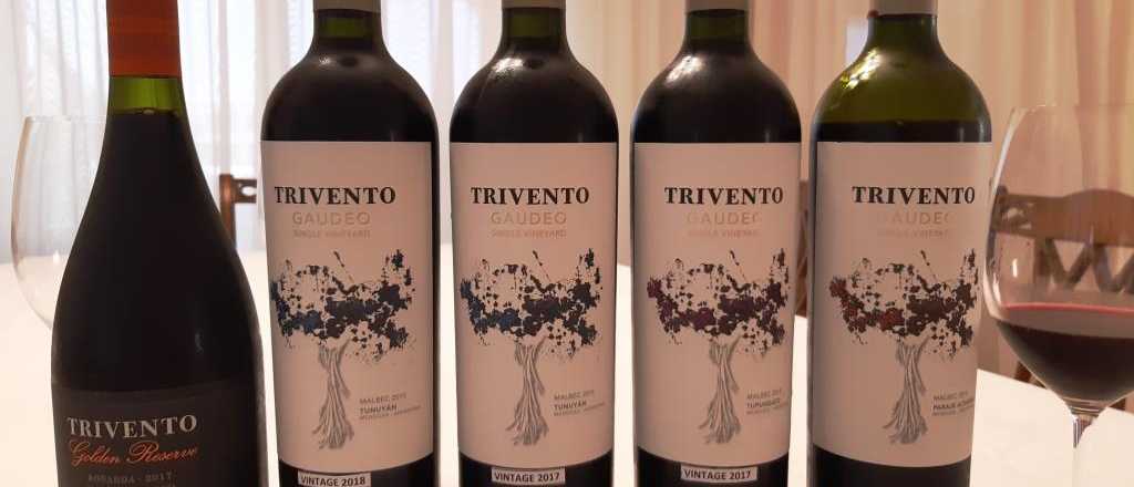 Un vino mendocino, entre los 100 mejores del mundo