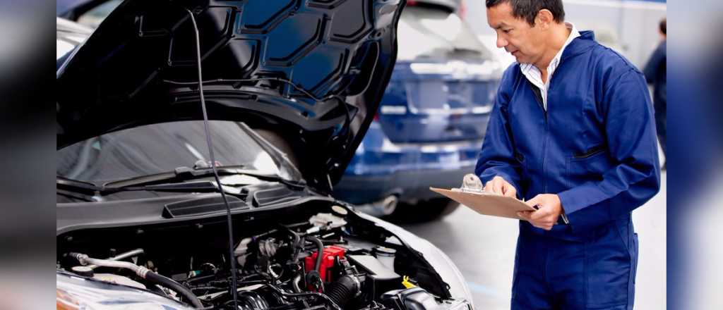 Este es el cronograma para hacer la revisión vehicular