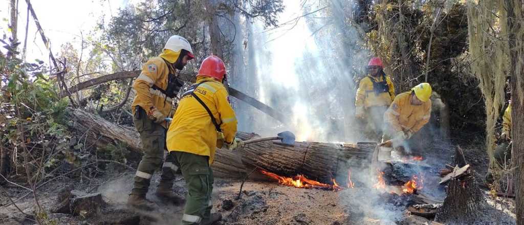 Brigadistas de Mendoza ayudan a combatir el fuego en El Bolsón