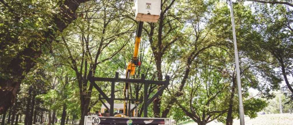 Guaymallén moderniza la luminaria en el Parque del Acceso Este