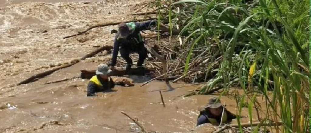 Video: los minutos previos a la caída de seis personas al río en Salta