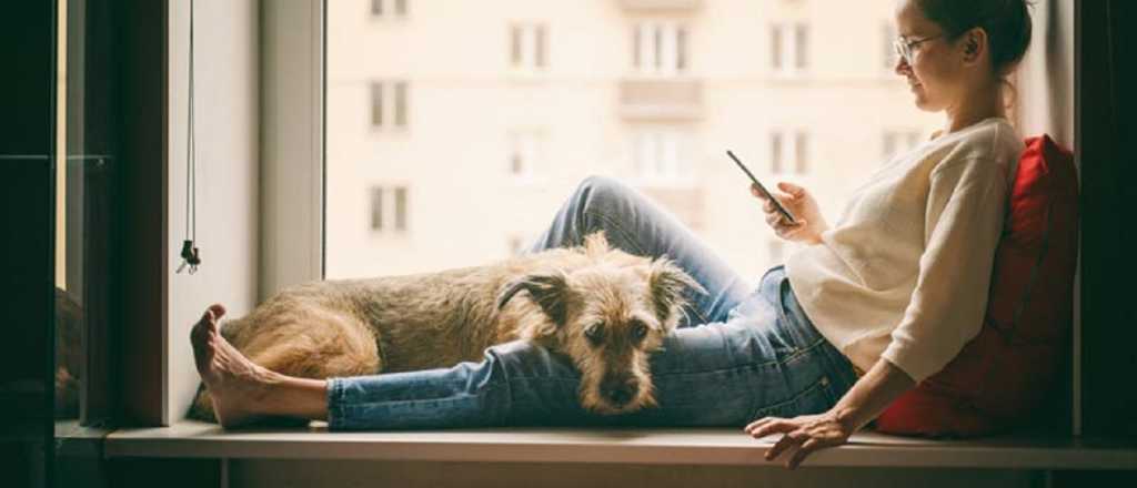 El motivo por el cuál los perros se sientan sobre los pies de sus dueños 