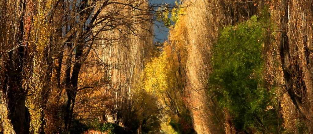 ¿Y entonces? El otoño no empieza cuando todos creen