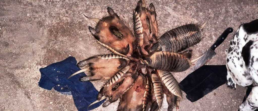 Detuvieron a dos hombres en San Rafael por cazar y colgar quirquinchos