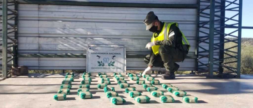 Un micro que traía hojas de coca a Mendoza fue frenado en San Juan