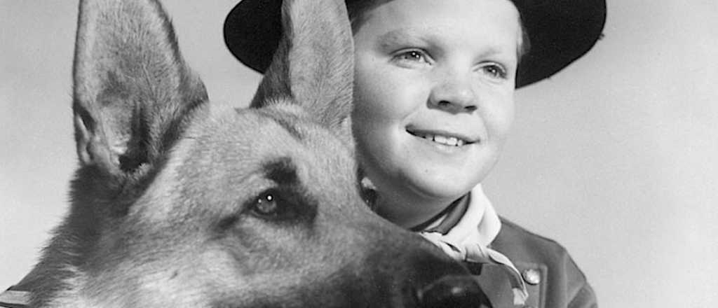 Murió en plena indigencia el protagonista de ''Rin Tin Tin'