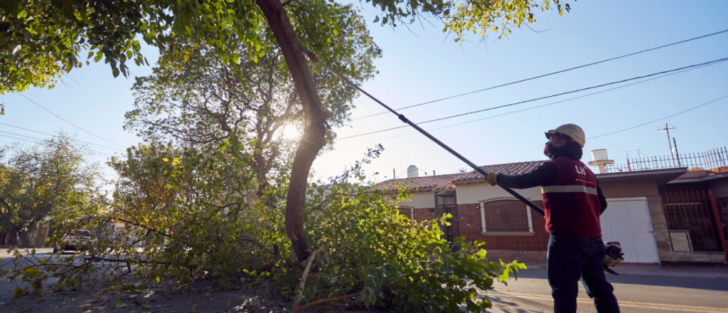 Las Heras inició su operativo de poda por los barrios