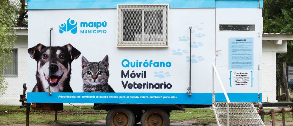 Volvió a Maipú el móvil de esterilización de mascotas