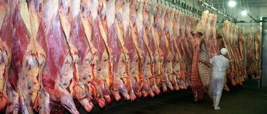 Suspenden por 30 días las exportaciones de carne vacuna