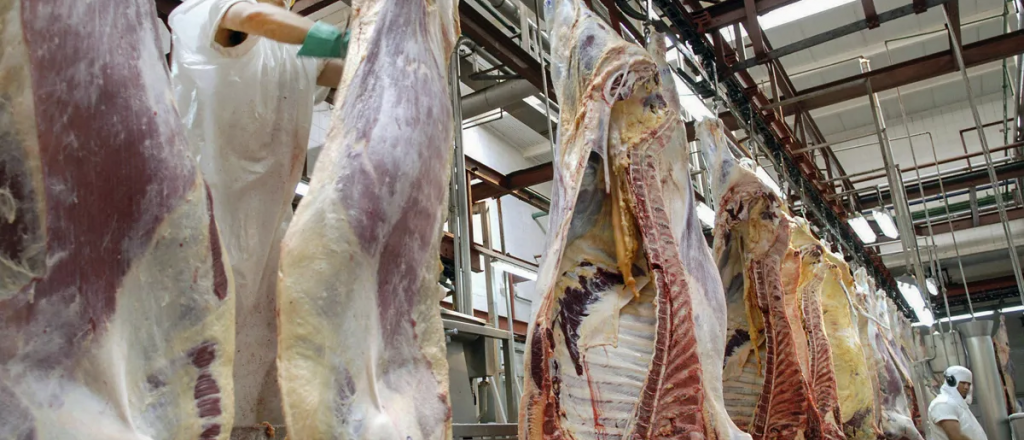 El Gobierno planea llevar la producción de carne a 5 milllones de toneladas