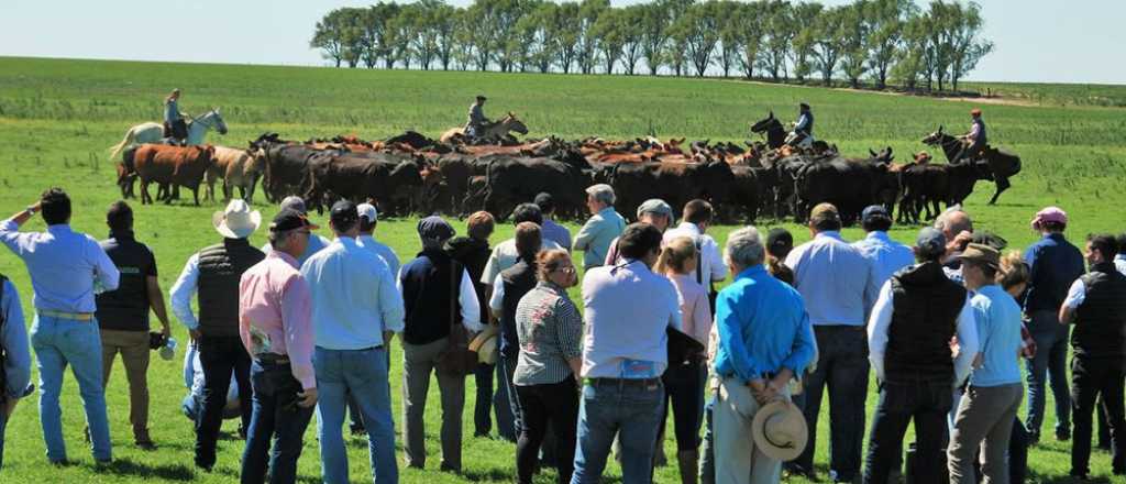 Comenzó el paro de los productores de carne