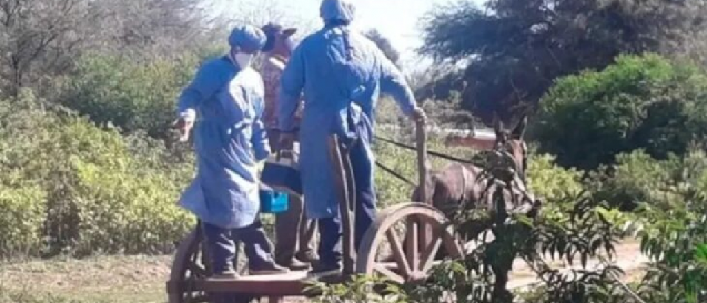 Médicos tuvieron que ir en carreta a vacunar en Santiago del Estero