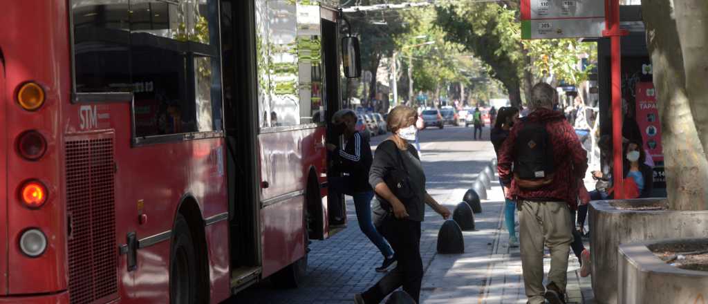 Así es el servicio de transporte para ir a las repeticiones de la Vendimia