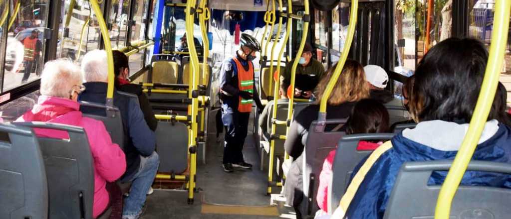 Estos son los precios del transporte para ir a la Fiesta de la Vendimia