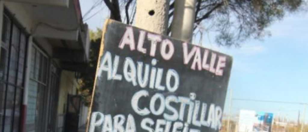 Alquilan costillar "para selfie": cuánto cuesta