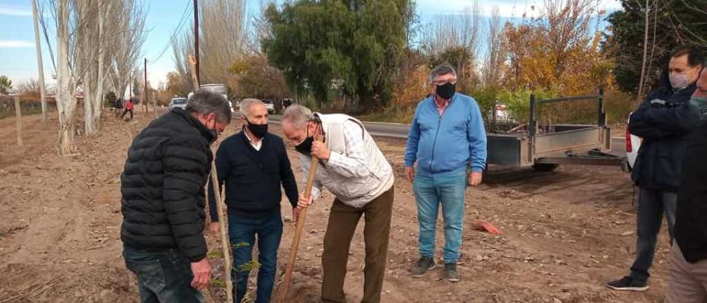 Rufeil plantó árboles en San Martín por el Día del Medio Ambiente