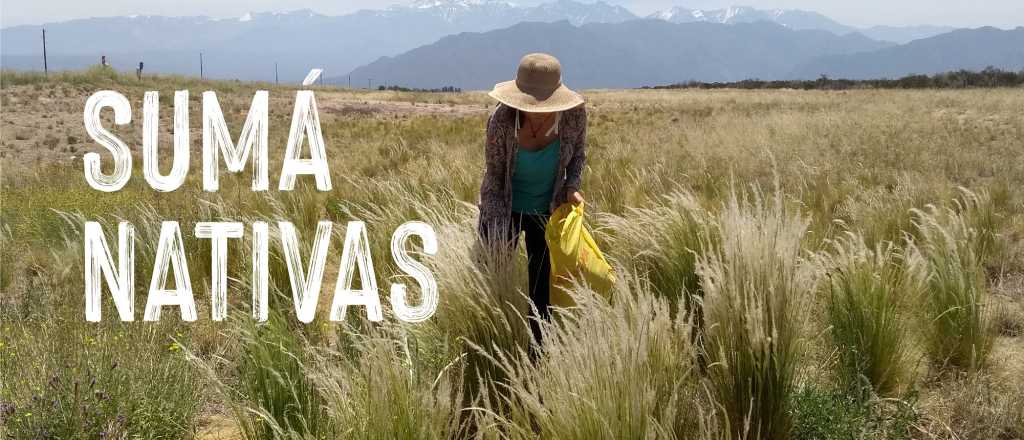 Campaña de Cervecería Quilmes para restaurar la cuenca del Río Mendoza