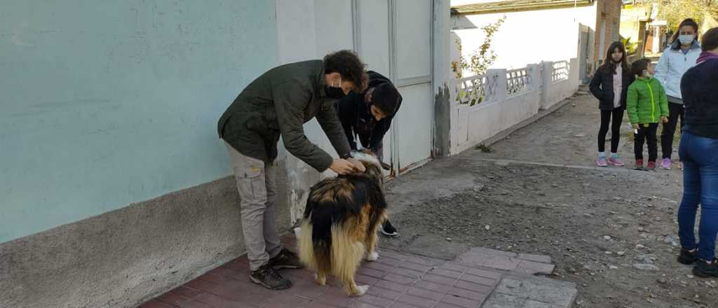 San Rafael avanza con la vacunación antirrábica en los barrios