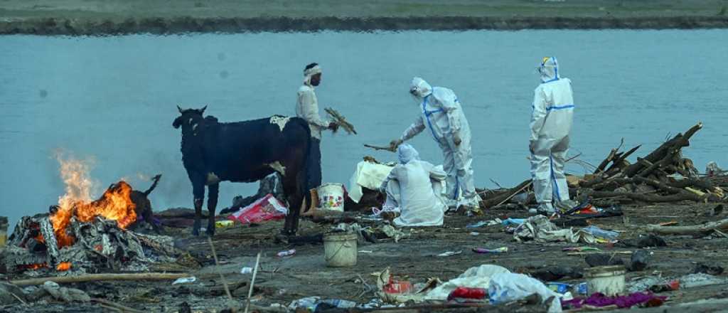 Video: cadáveres de víctimas de Covid-19 flotan en un río de India