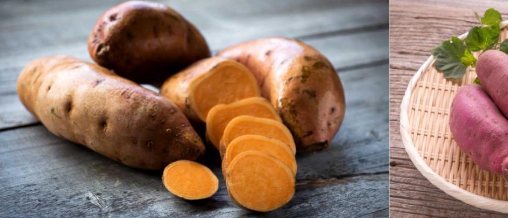 ¿Batata o camote? Los beneficios ocultos de este milagroso tubérculo