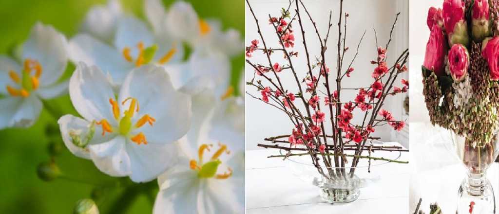 Consejos para realizar arreglos florales en pleno invierno