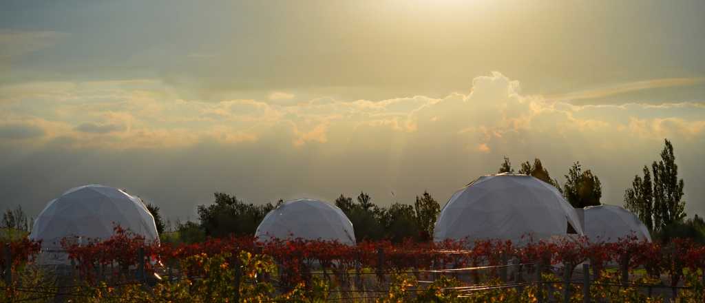 Glamping: el camping de lujo desembarca en Maipú en vacaciones