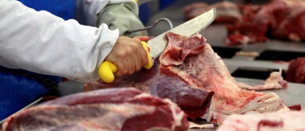 Aumentó la carne en Mendoza: estos son los precios de referencia