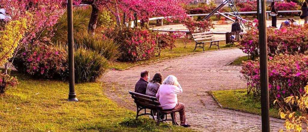 Horóscopo de hoy: un miércoles racional y mental para estos signos